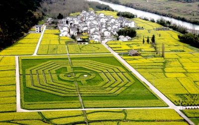 貴州鎮遠縣加強開展水稻病蟲害防治工作