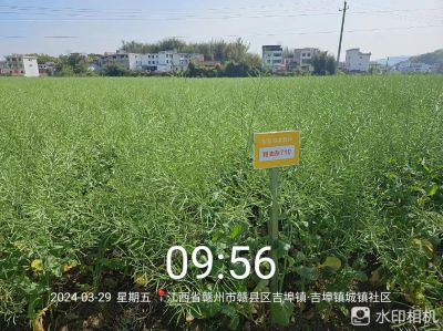 利油710